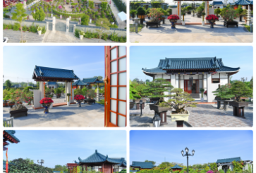Vườn Bonsai DONA - Đẹp, đẳng cấp và chuyên nghiệp nhất Miền Nam