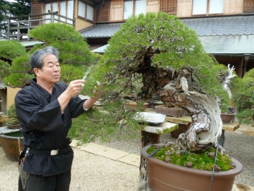 Nghệ nhân Kobayashi giao lưu demo bonsai tại Việt Nam