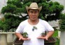 Bonsai tí hon giá hàng chục triệu đồng vẫn cháy hàng