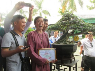 Cây Linh sam 500 triệu của danh hài Hoài Linh đạt giải nhất cuộc thi bonsai