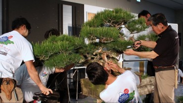 Xem Nghệ nhân hàng đầu của Nhật Bản (Kunio Kobayashi) biểu diễn demo cây Thông đen Nhật