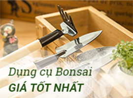 Dụng cụ Bonsai
