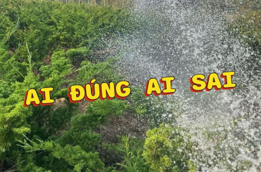 Ai đúng, ai sai?