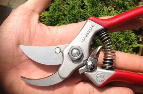 Kéo cắt cành MASAKUNI #2010