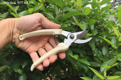 Kéo cắt cành BWC