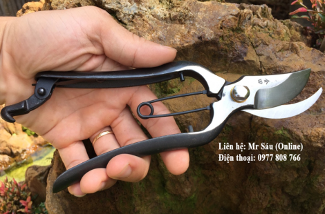 kéo cắt cành nguyên khối giá rẻ