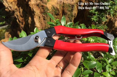 Kéo cắt cành 170 DX