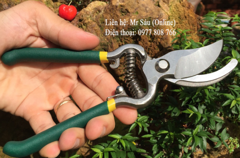 Kéo cắt cành nguyên khối giá rẻ FX1