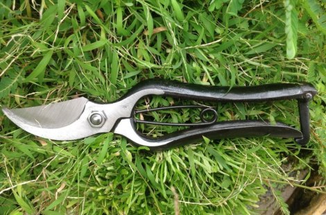 Kéo cắt cành KIKUWA - 1078