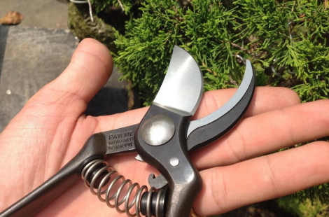 Kéo cắt cành MASAKUNI #2001