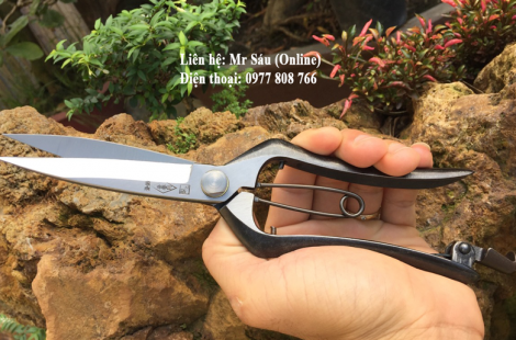 Kéo cắt cành, Tỉa tàn chính hãng Nhật Bản