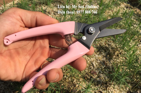 kéo tỉa, cắt cành SBT 500