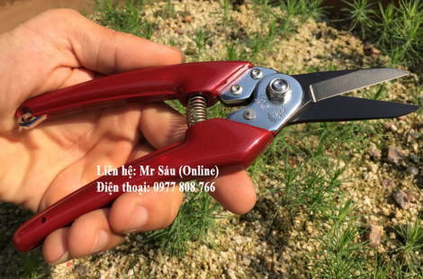 Kéo tỉa chính hãng Nhật Bản SBT EX7