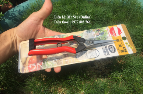 Kéo tỉa koshiji Nhật Bản