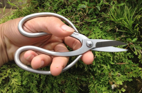 Kéo tỉa thép trắng RS16