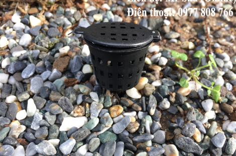 Giỏ đựng phân tan chậm 250k(380 cái)