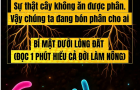 Đọc 1 phút hiểu cả đời làm nông