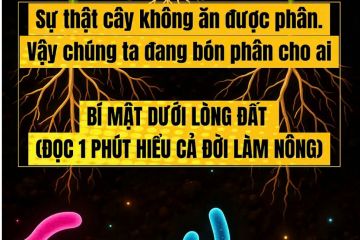 Đọc 1 phút hiểu cả đời làm nông