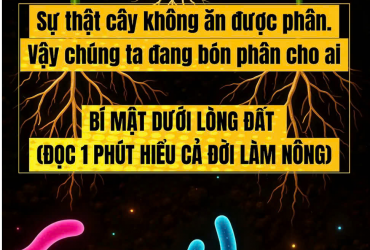 sự thật cây không ăn được phân